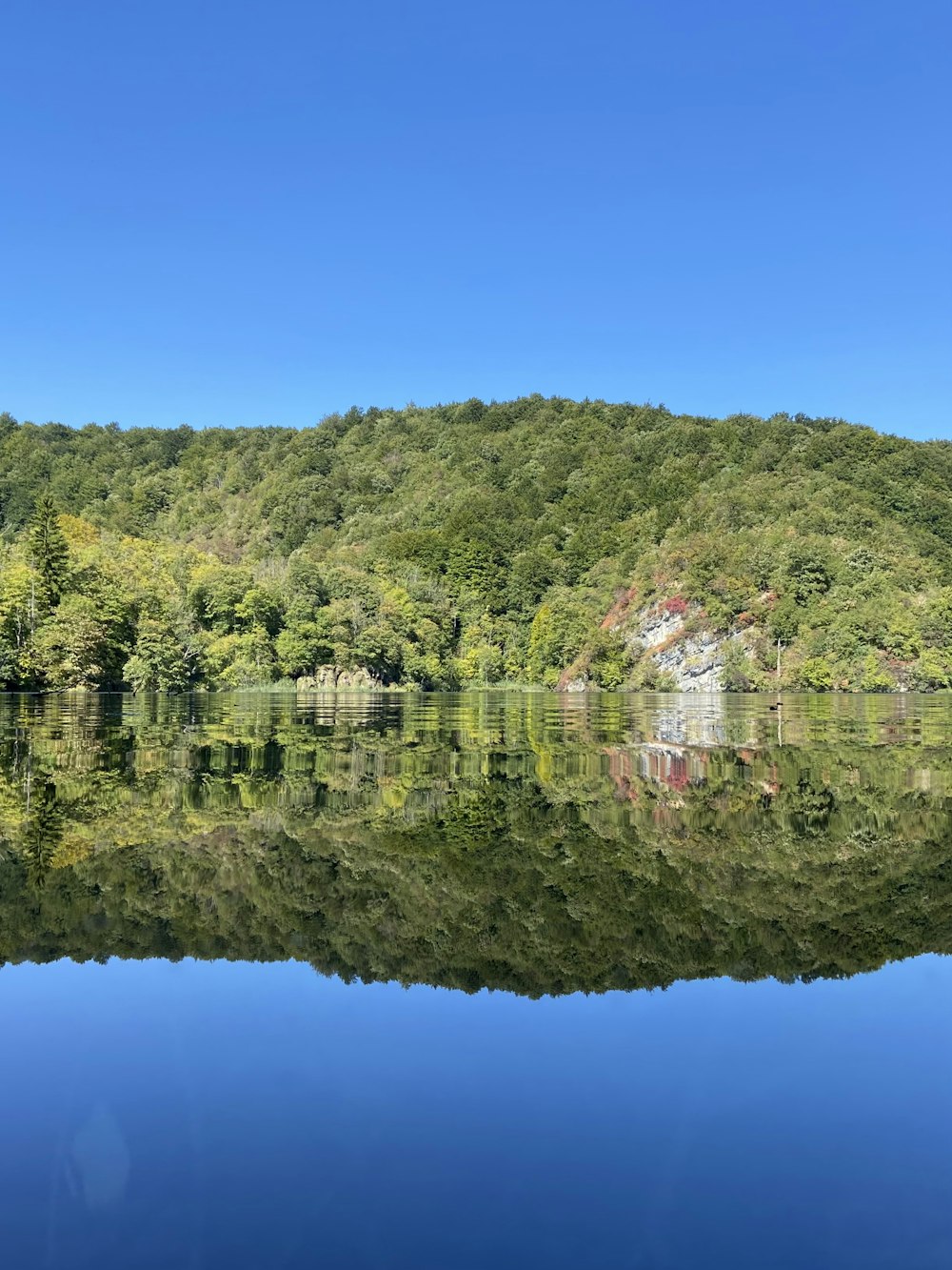 a large body of water surrounded by trees