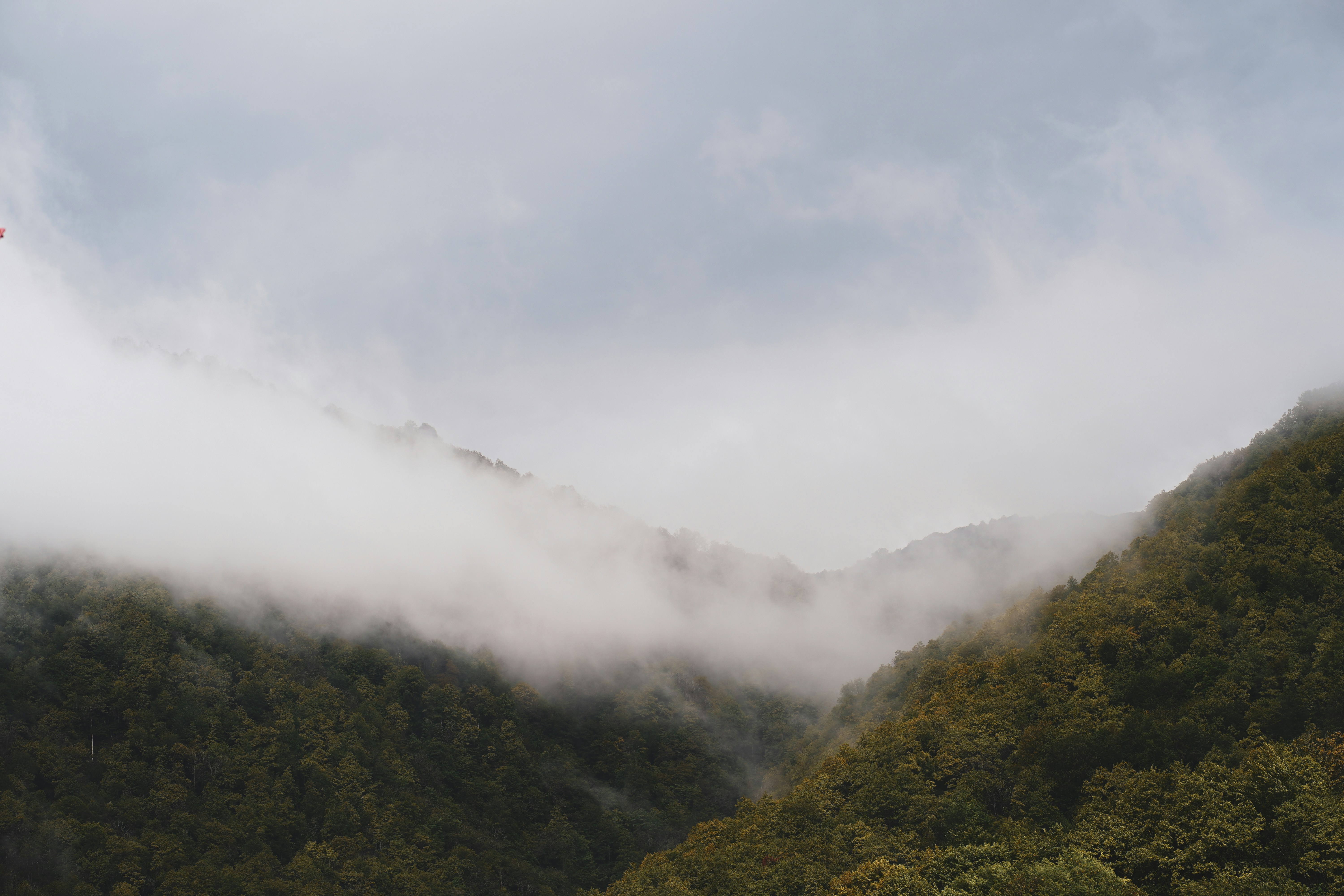 Photo by artcoastdesign