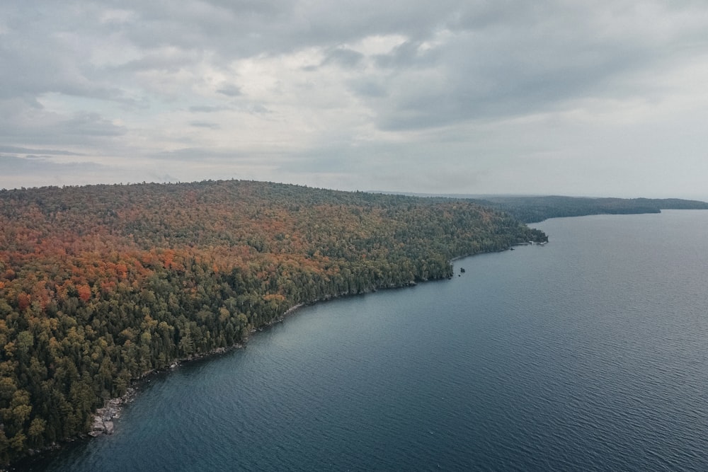 a large body of water surrounded by trees