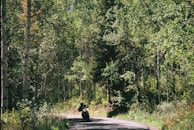 A motorbike rider cruising through lush green countryside roads in the UK.