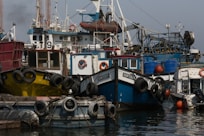 a number of boats in a body of water