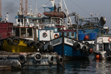 a number of boats in a body of water