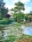 A charming garden with a tranquil pond and gazebo.