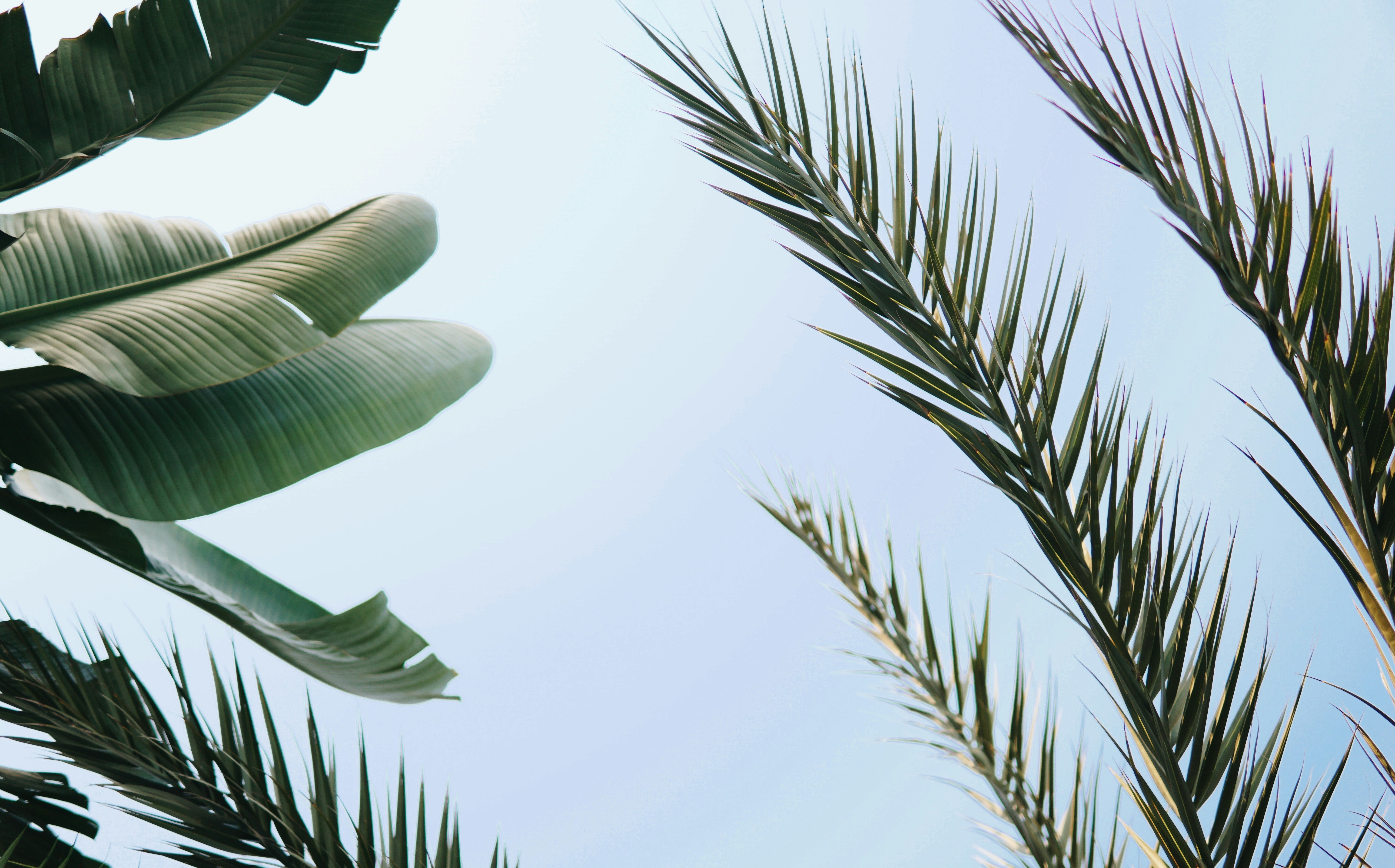 Photo by kateivanova__