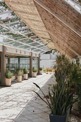 Outdoor patio pergola and awning