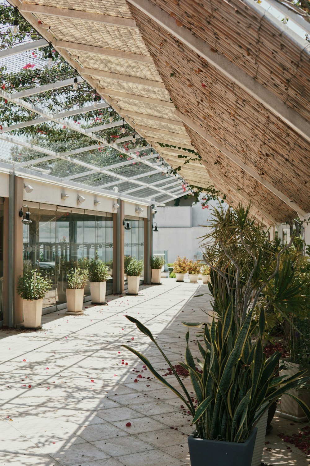 a building with lots of plants inside of it