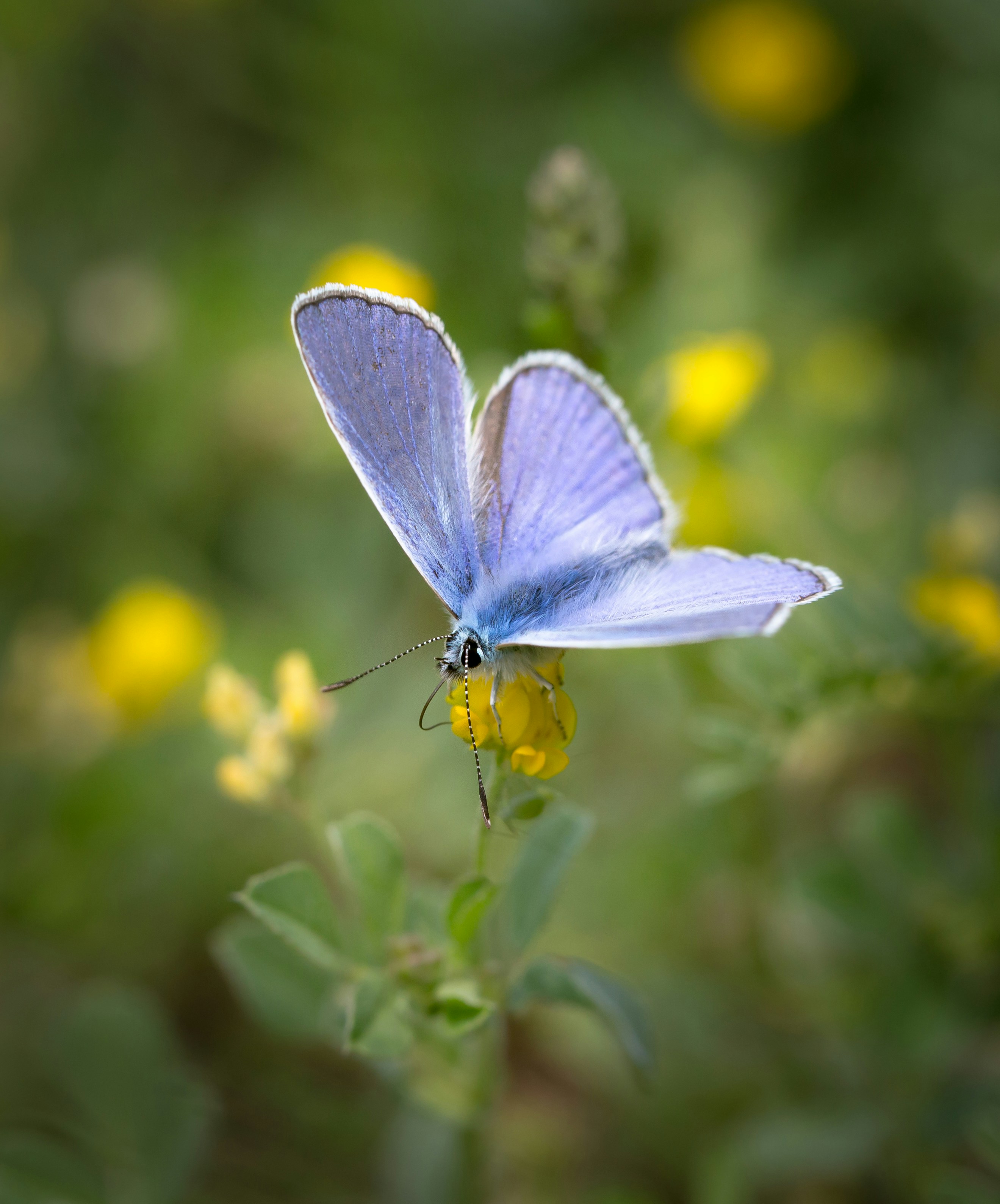 Photo by blooddrainer