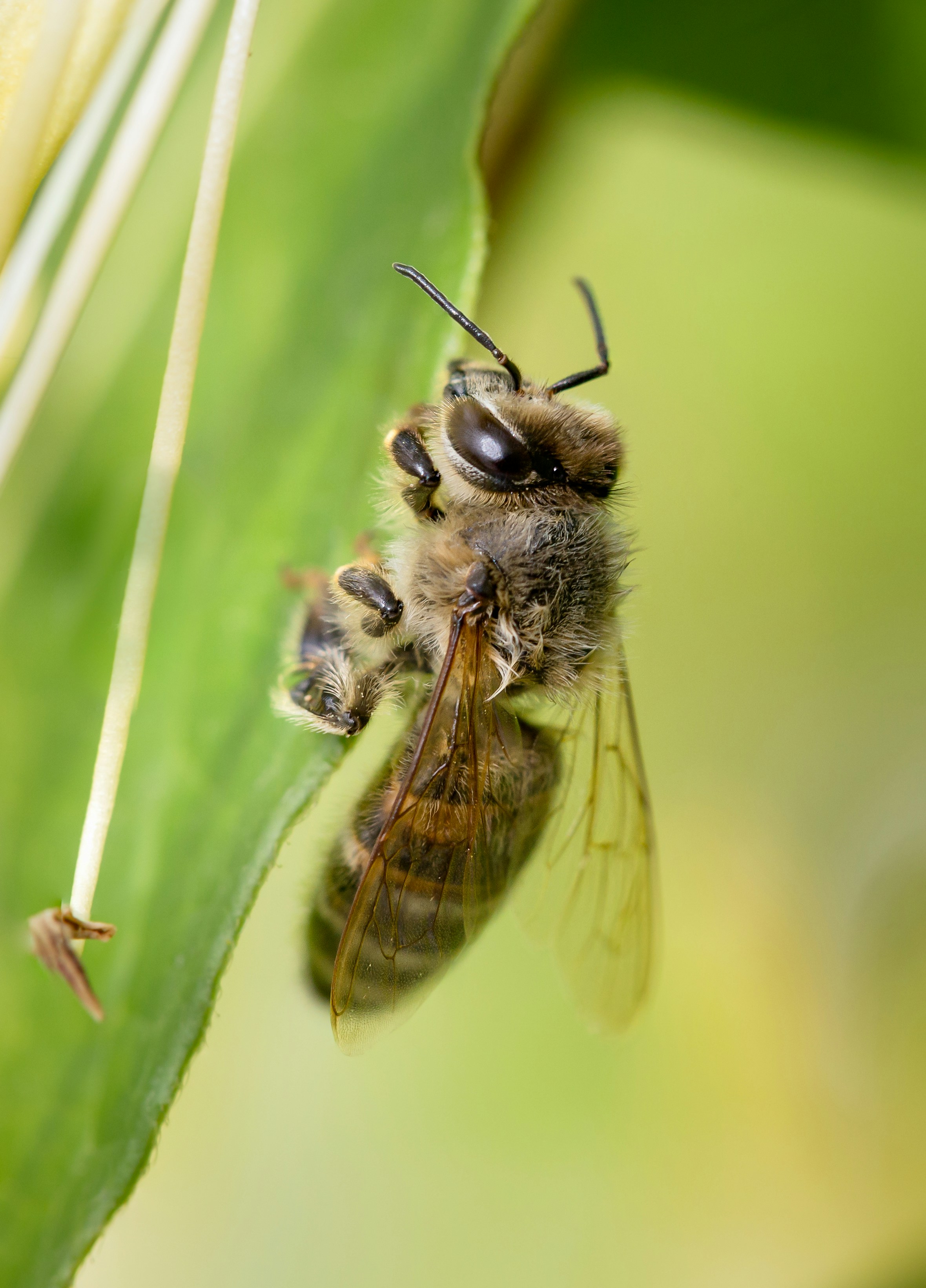 Photo by blooddrainer