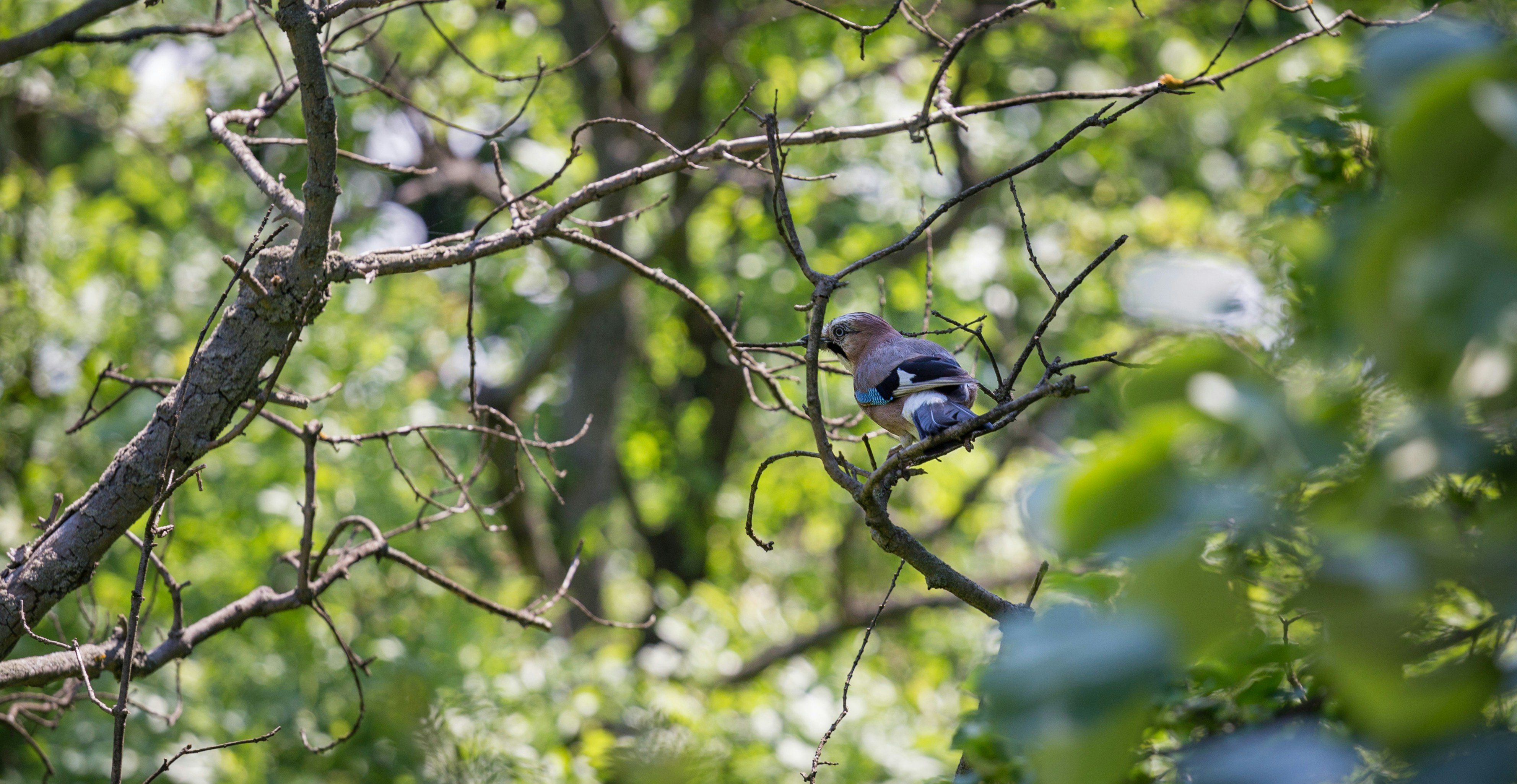 Photo by blooddrainer