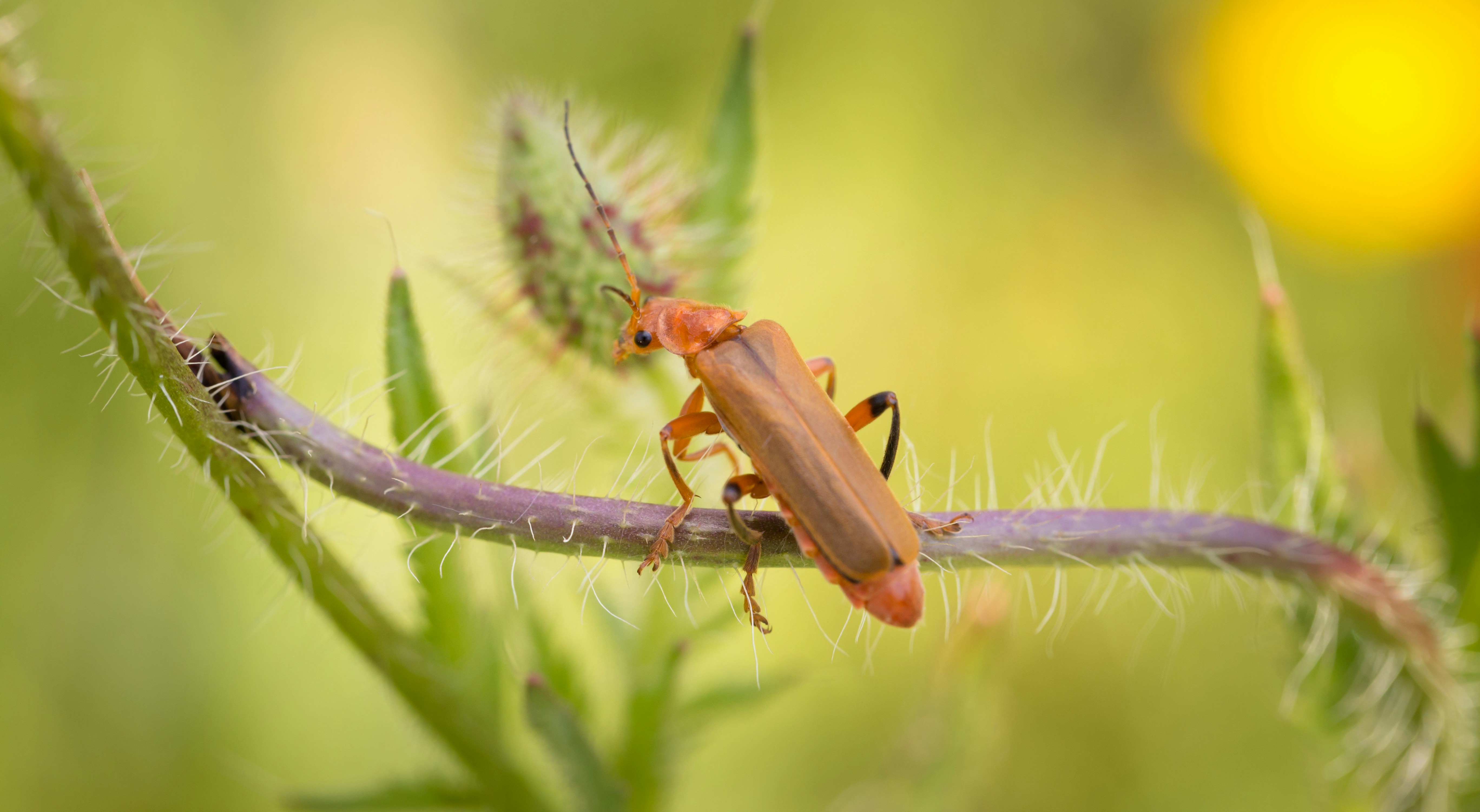 Photo by blooddrainer