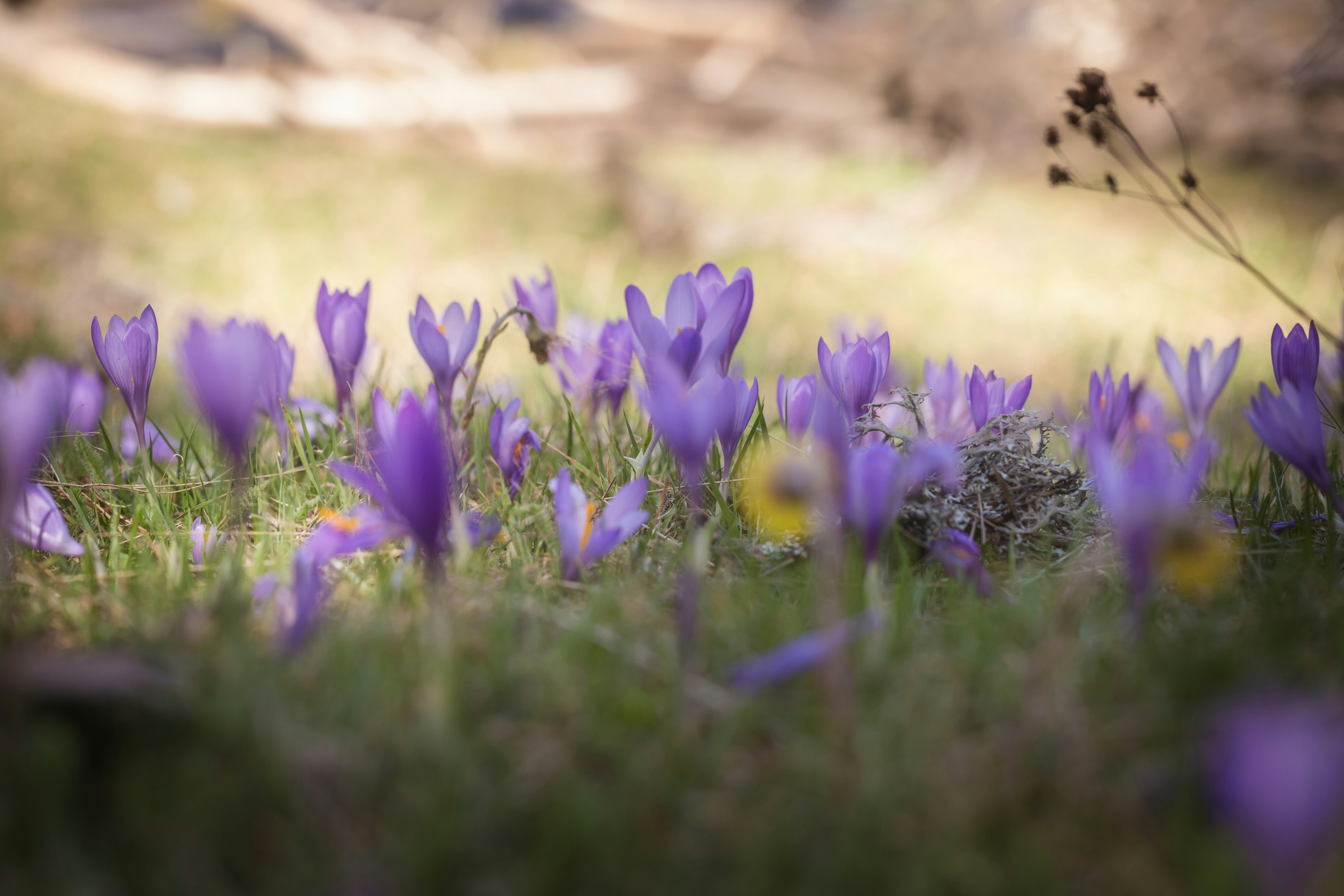 Photo by blooddrainer