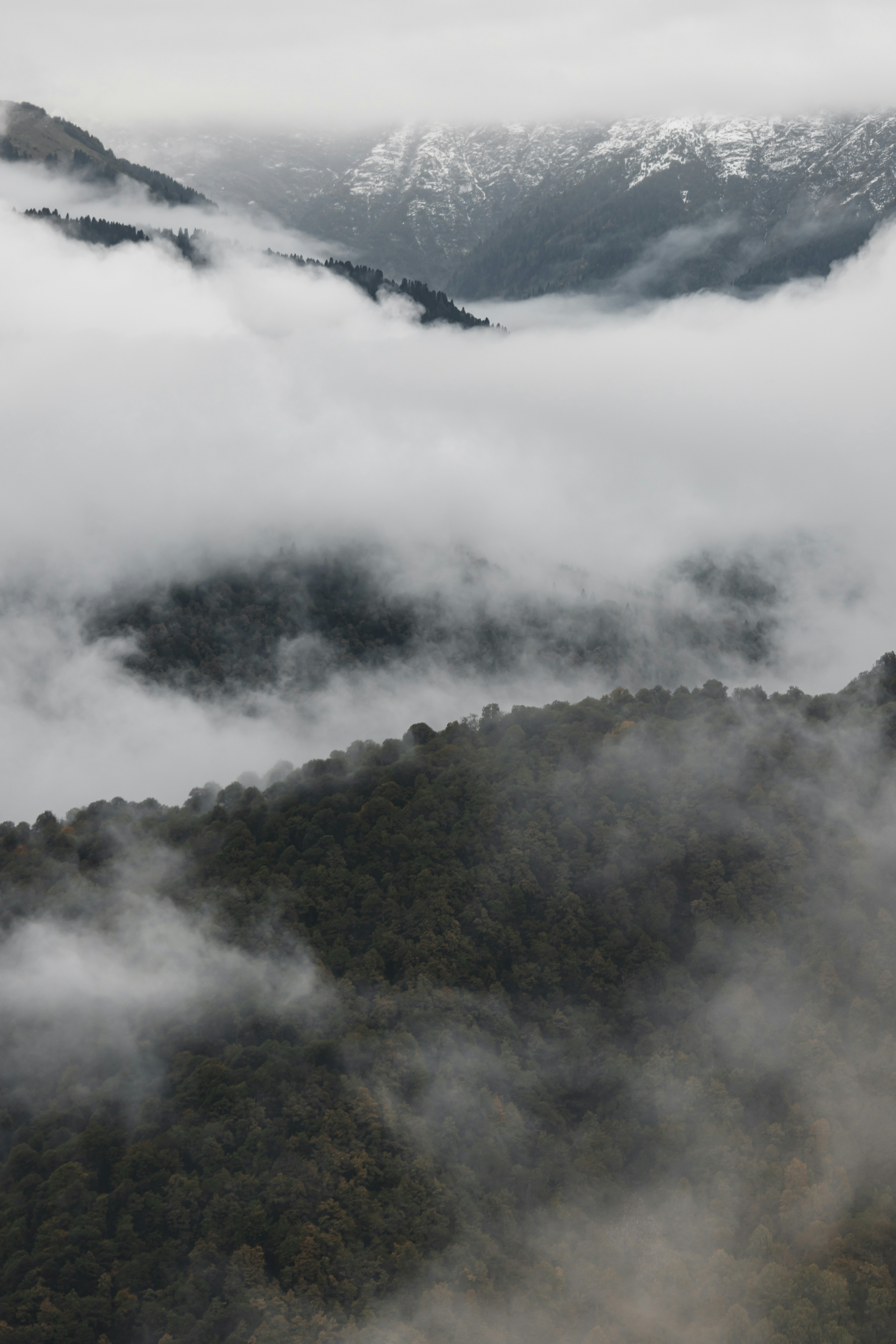 A mountain covered in fog and low lying clouds photo – Free Sochi Image ...
