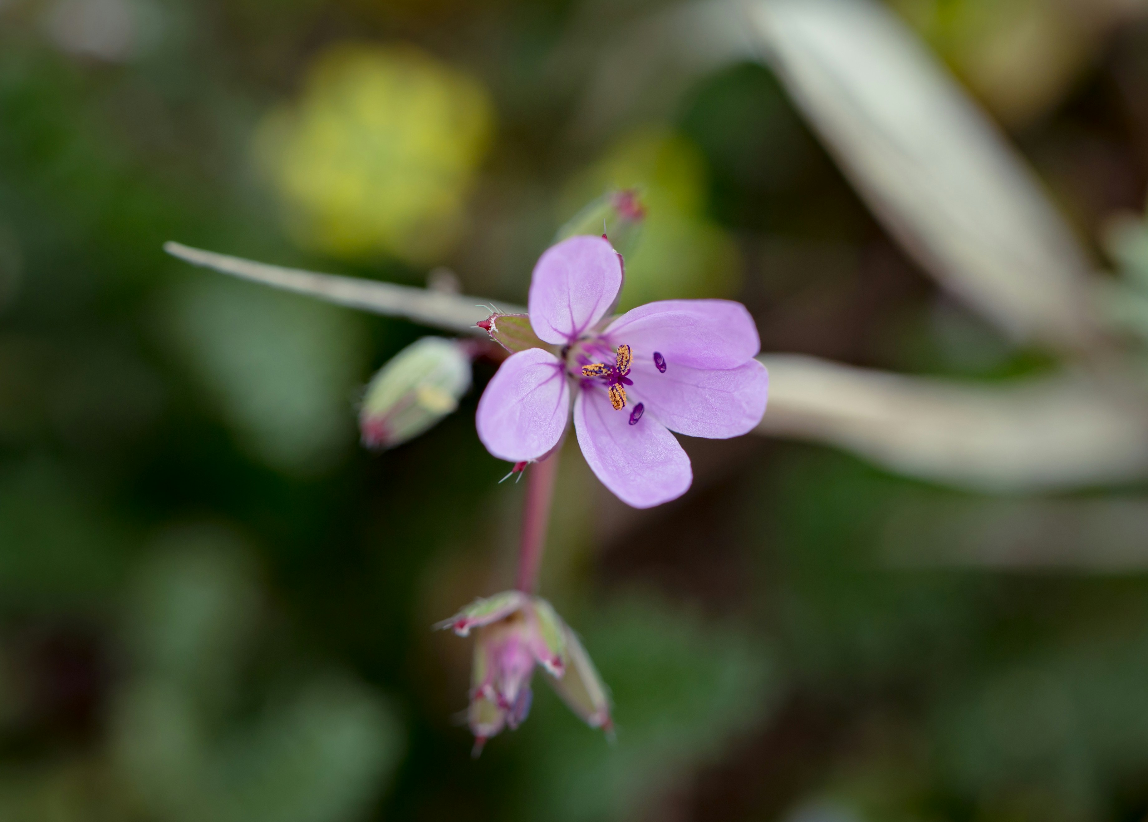 Photo by blooddrainer