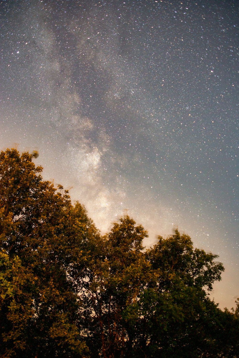 the night sky is filled with stars and trees