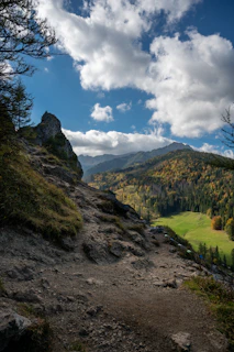 A panoramic view of a rugged mountain trail winding through colorful autumn foliage.