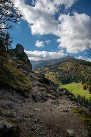 A panoramic view of a rugged mountain trail winding through colorful autumn foliage.