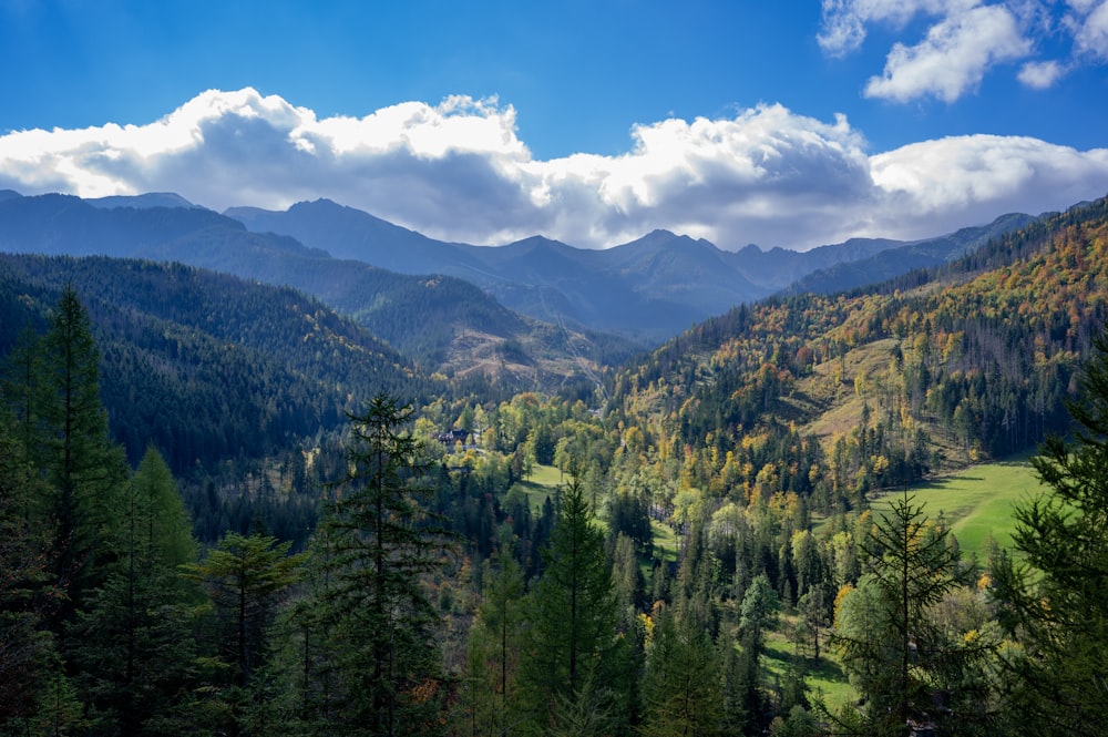 a scenic view of a valley with mountains in the background