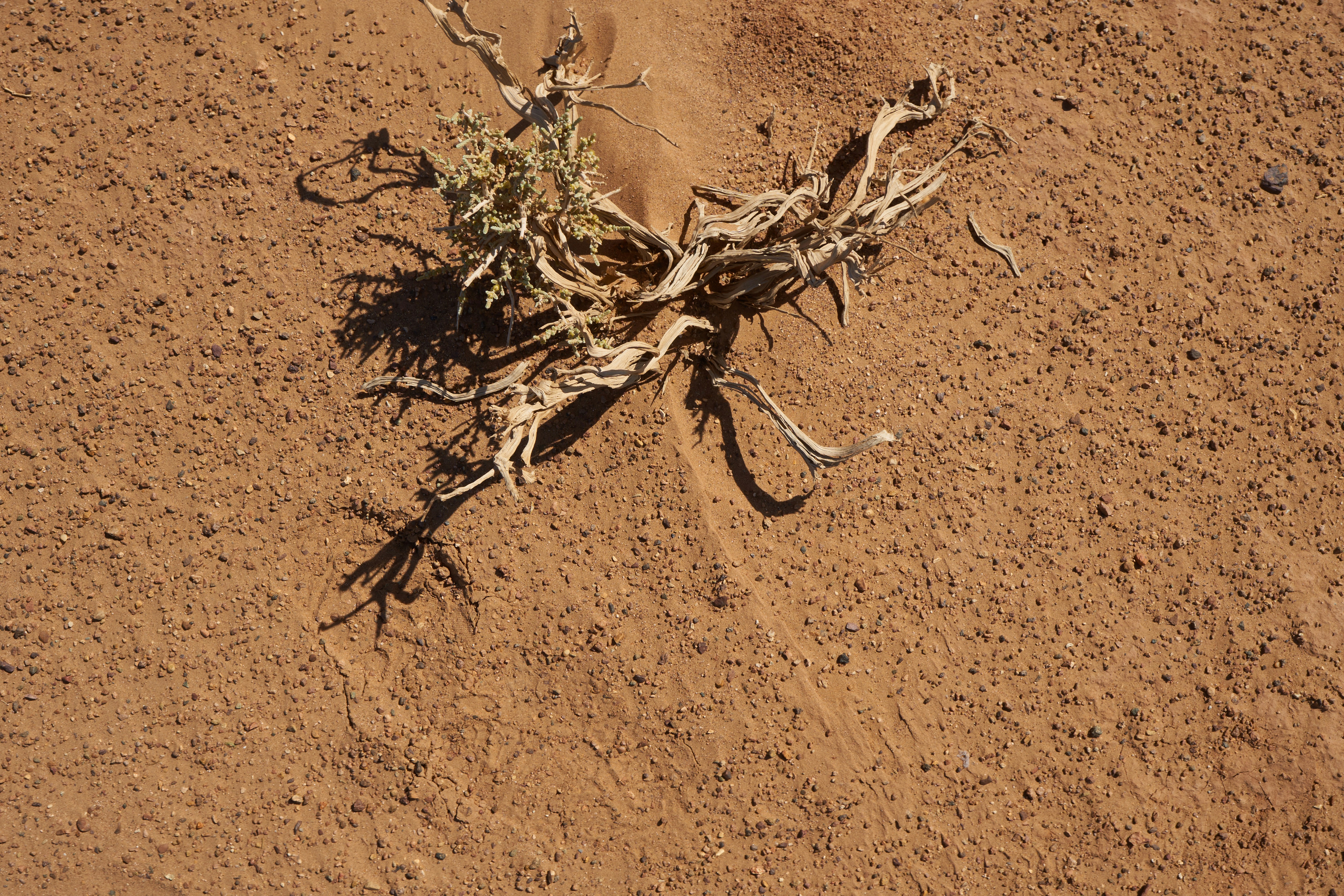 The Limits of Resurrection: What Can Go Wrong (image credits: unsplash)