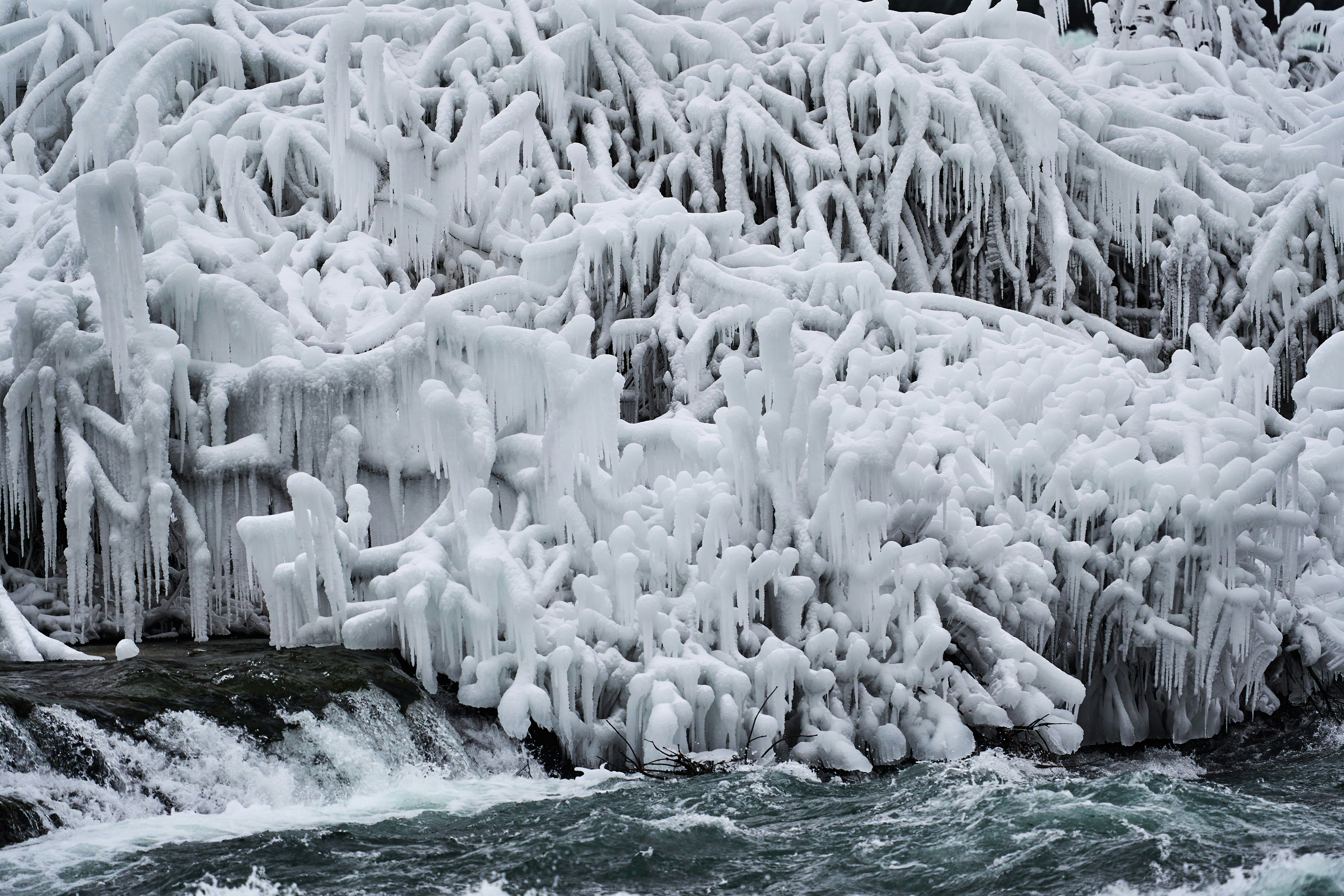 Photo by wolfgang_hasselmann