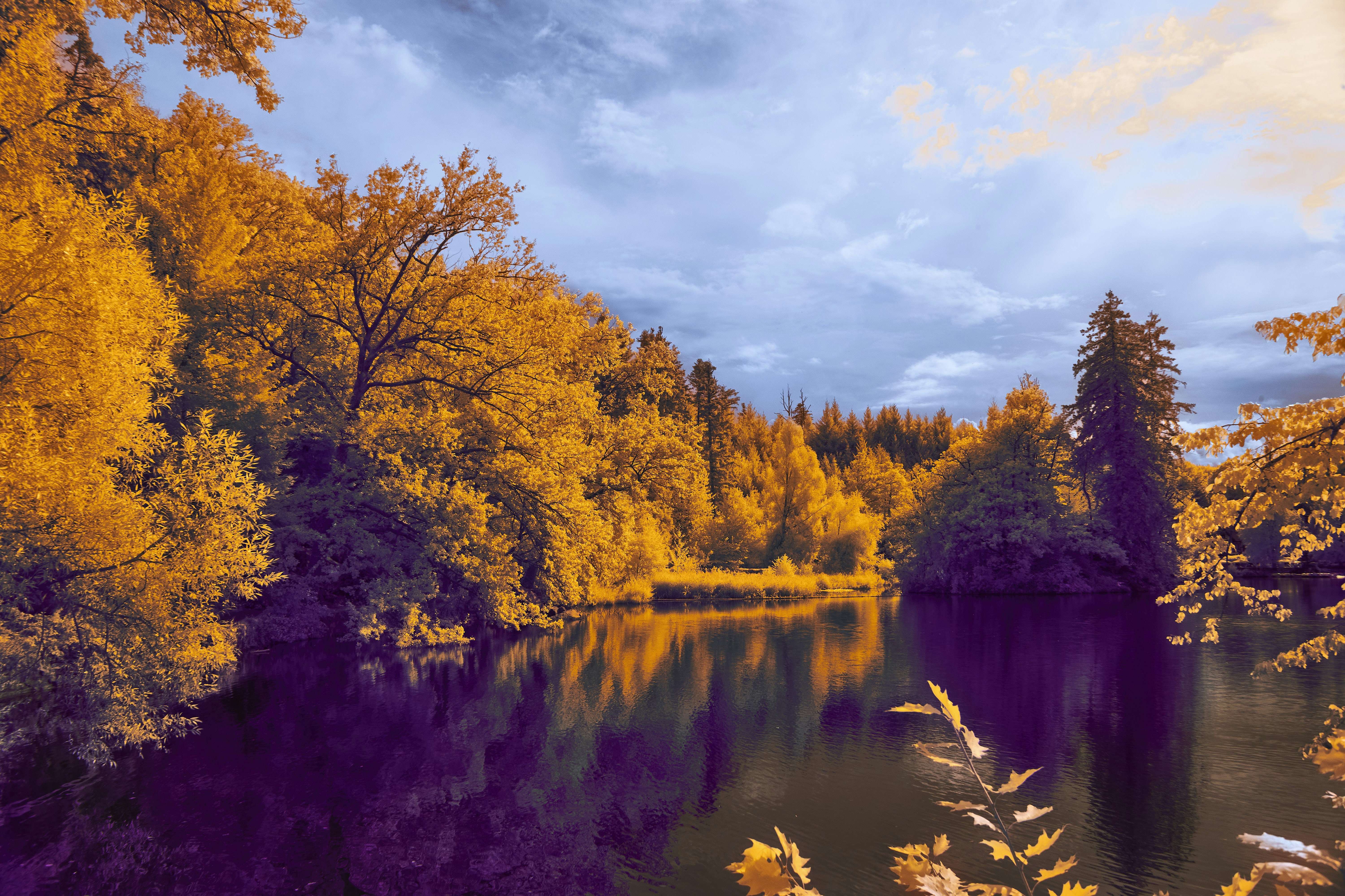 Photo by wolfgang_hasselmann