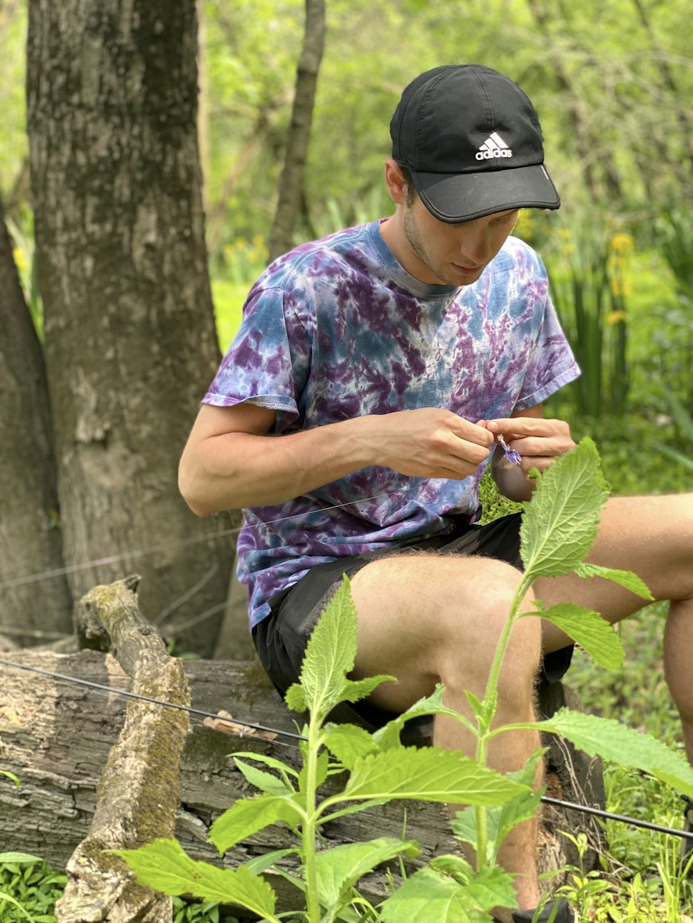 a man sitting in the woods looking at his cell phone