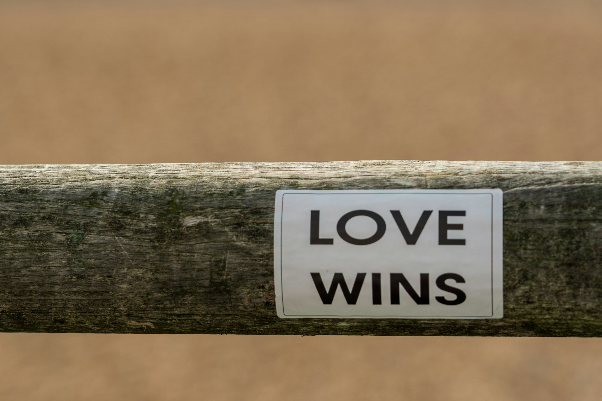 a sticker that says love wins on it