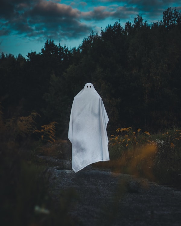 How to Hide the Ghost Blog Subscribe Button