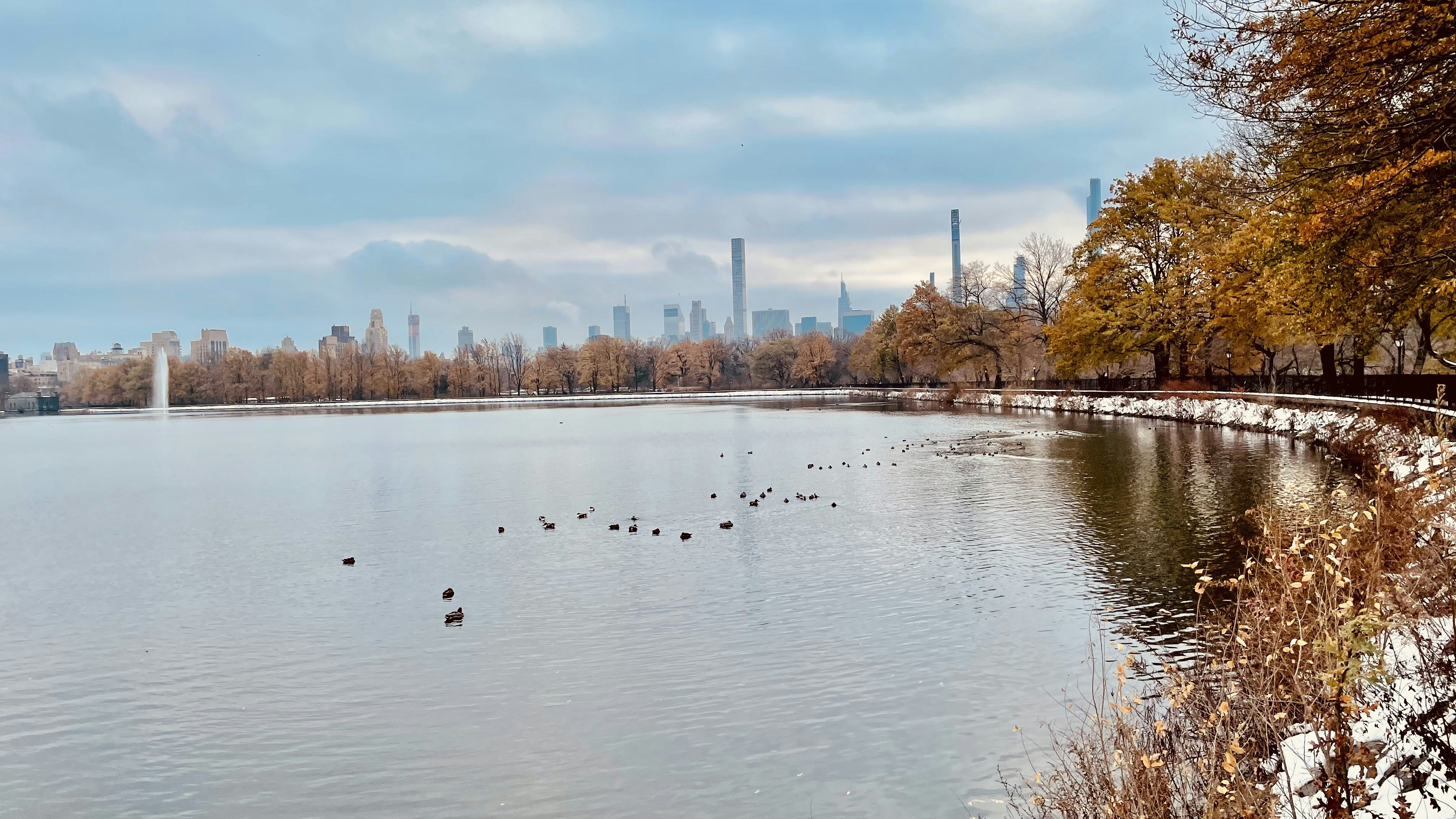 Fall colors in Central Park