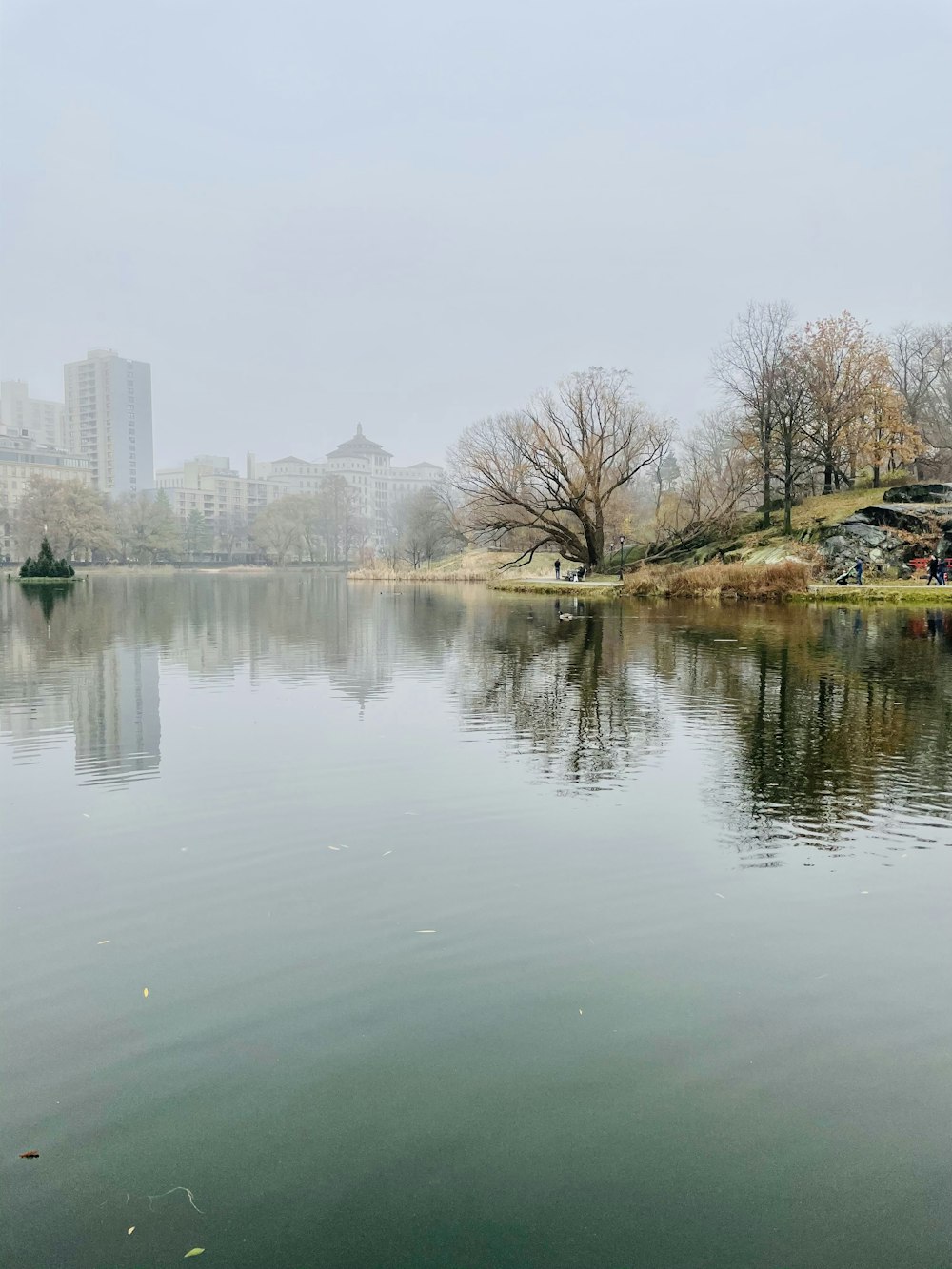 a body of water with trees and buildings in the background