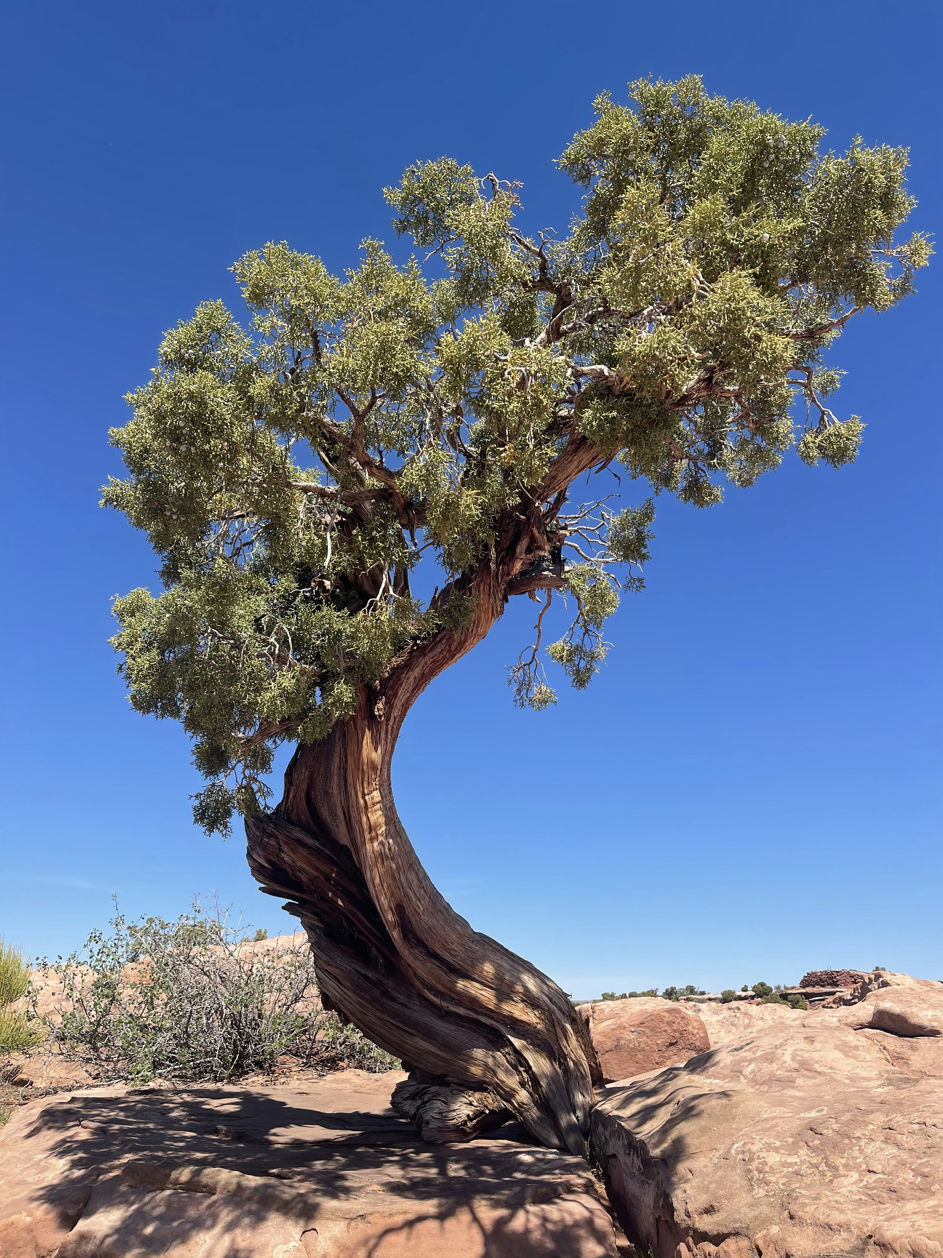 Photo by amandapictures