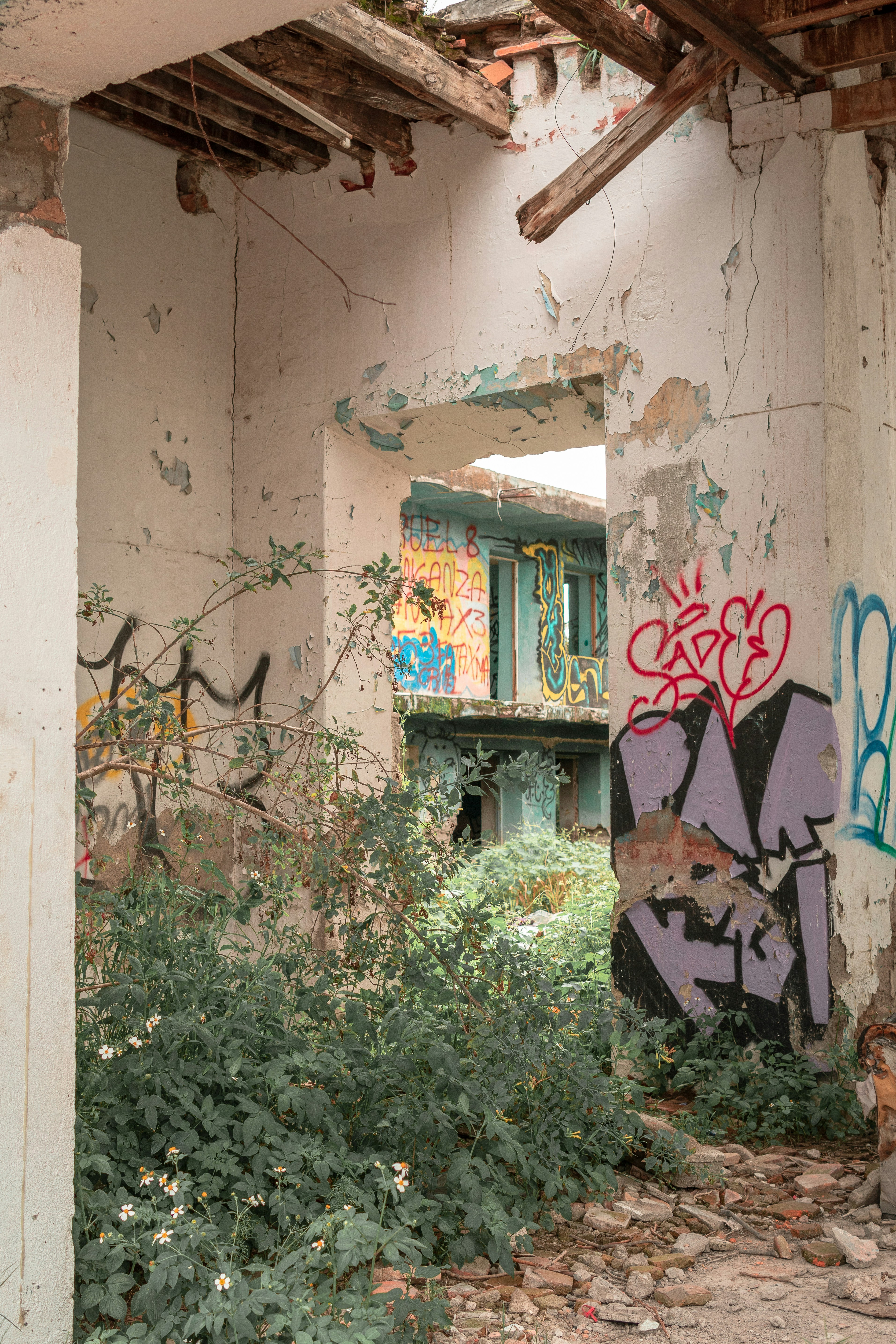 Photo by alex_quezada