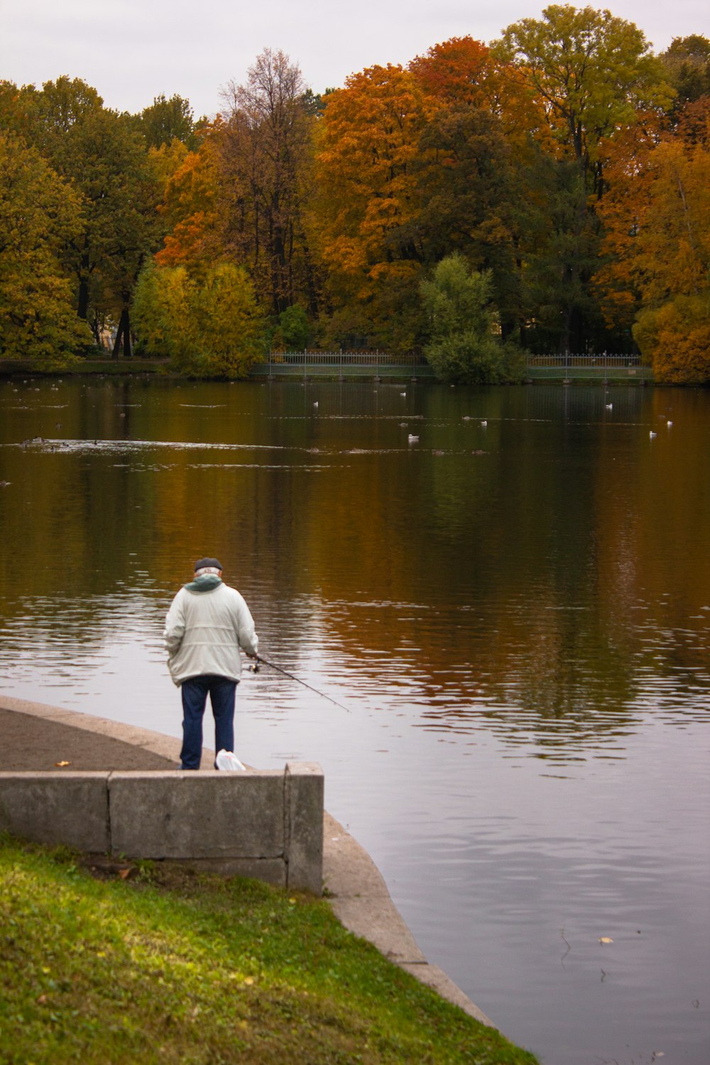 a man fishing on a lake in a park