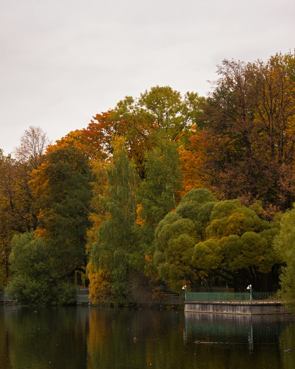 a body of water surrounded by lots of trees