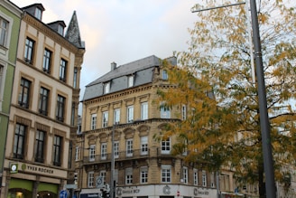 a row of buildings on a city street