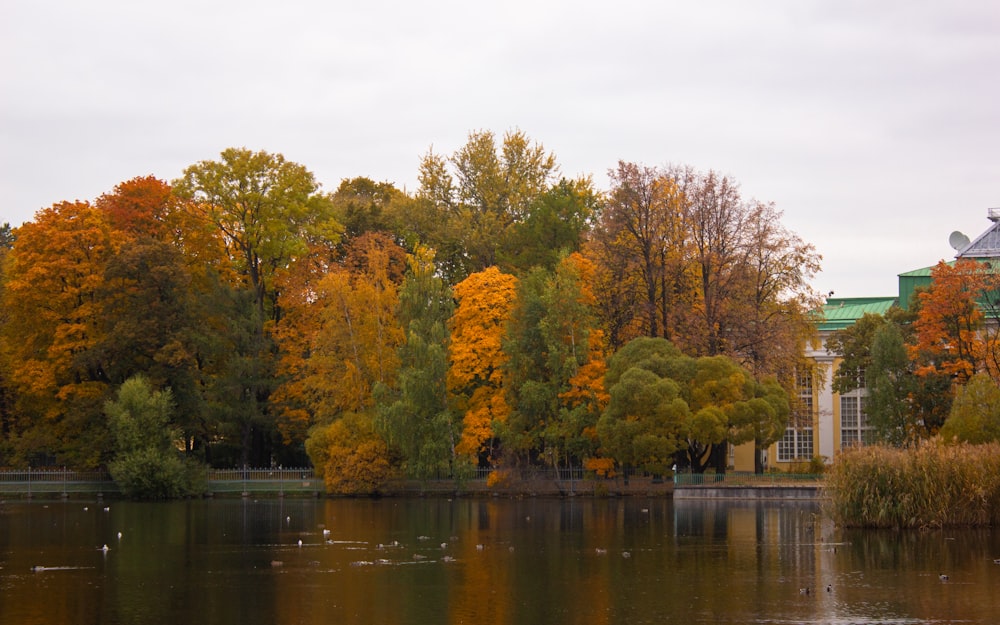 a lake surrounded by lots of trees with a building in the background