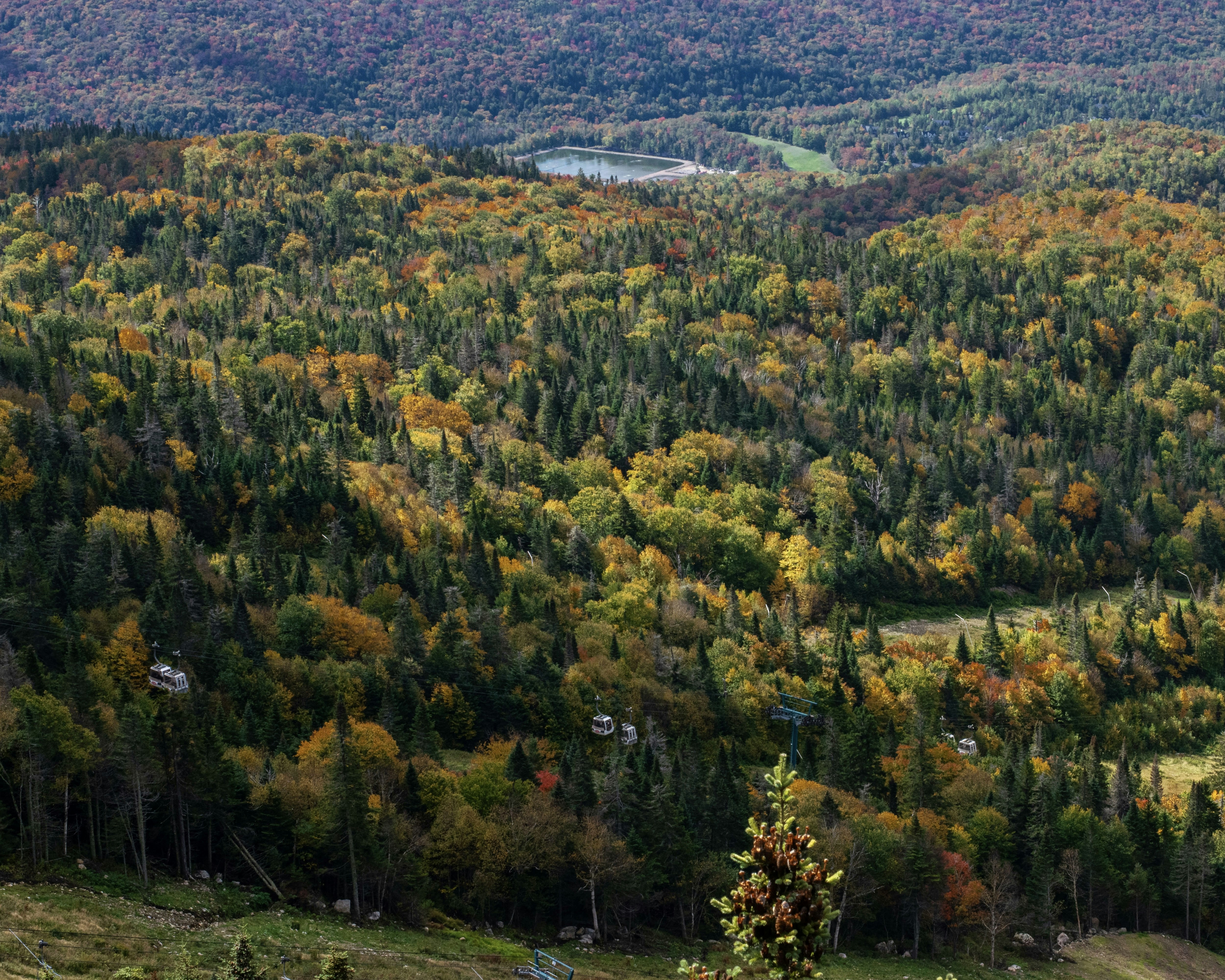 Photo by sandra_ruda