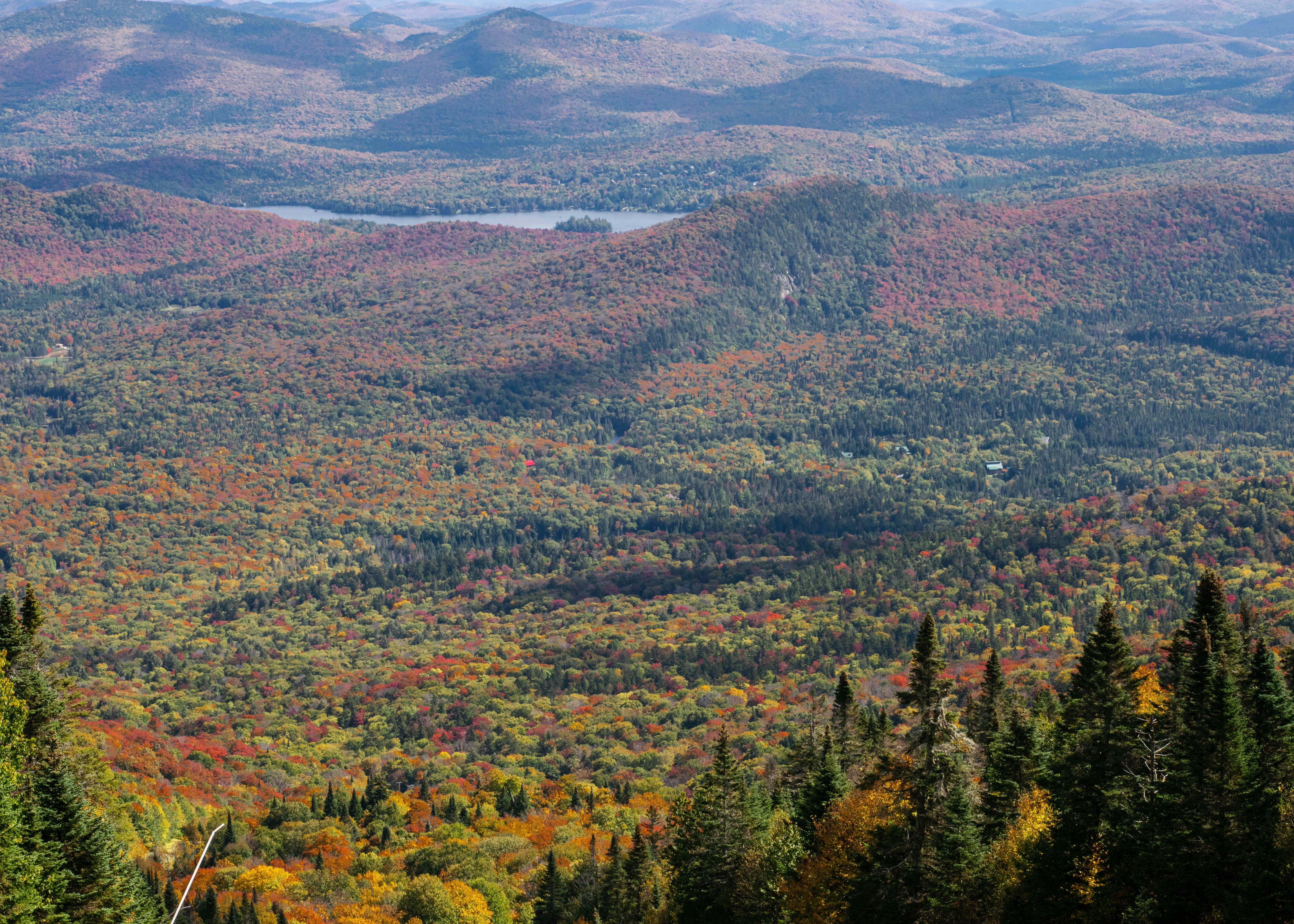 Photo by sandra_ruda