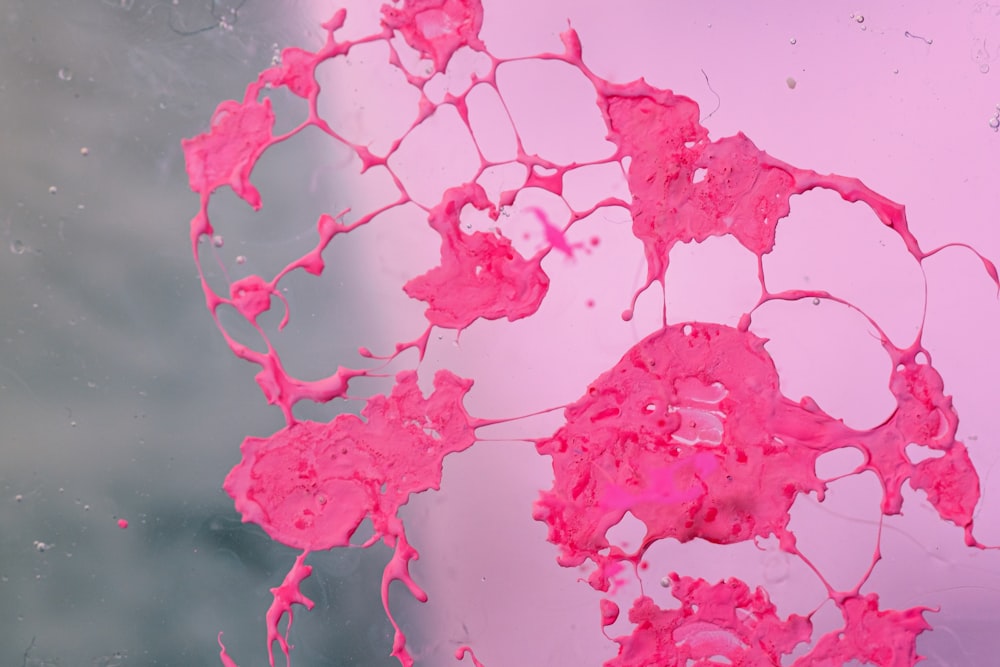 a close up of a pink substance in water