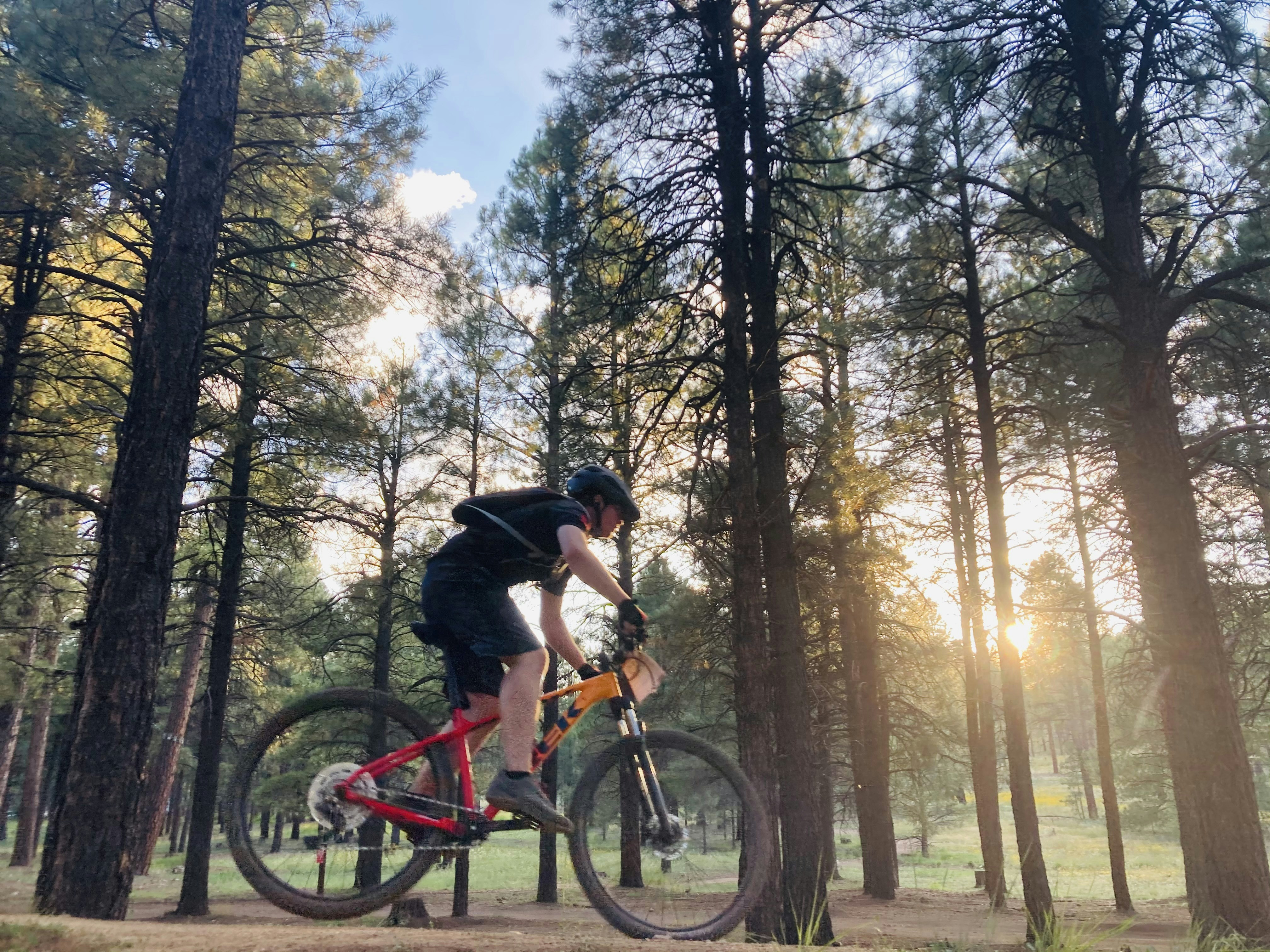 Photo by desertnightowl22