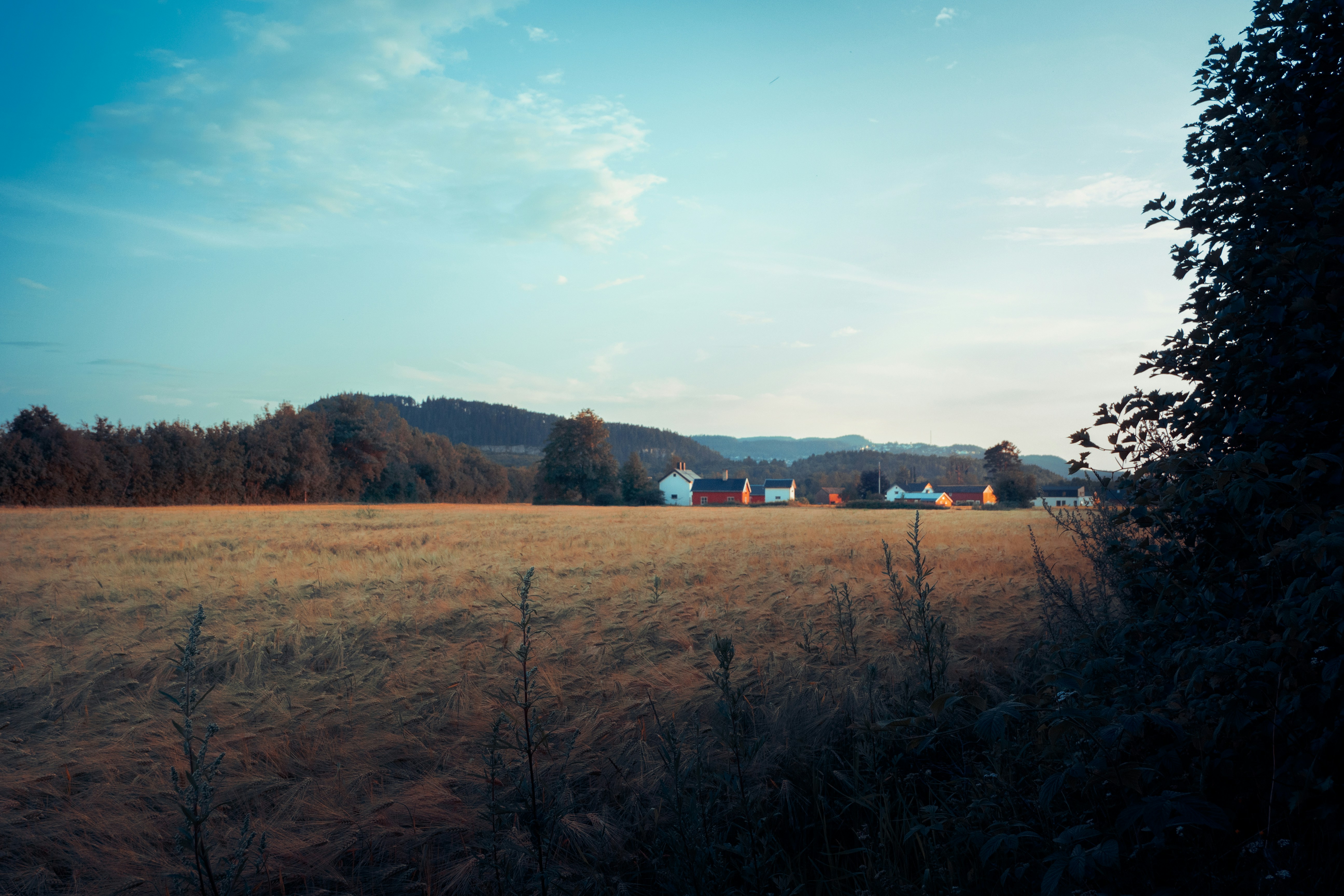 Photo by robinmikalsen