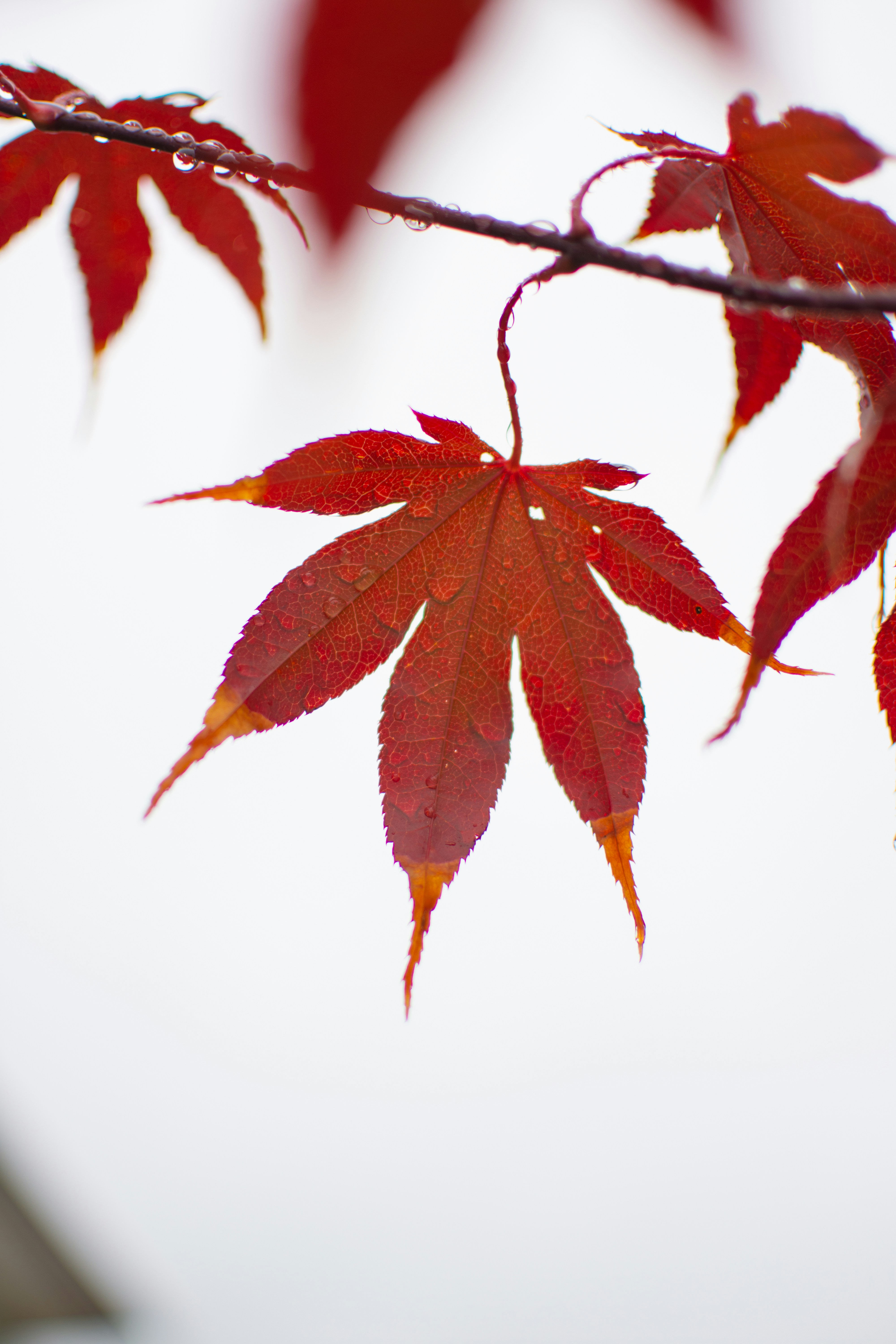 Photo by quinn_quailly