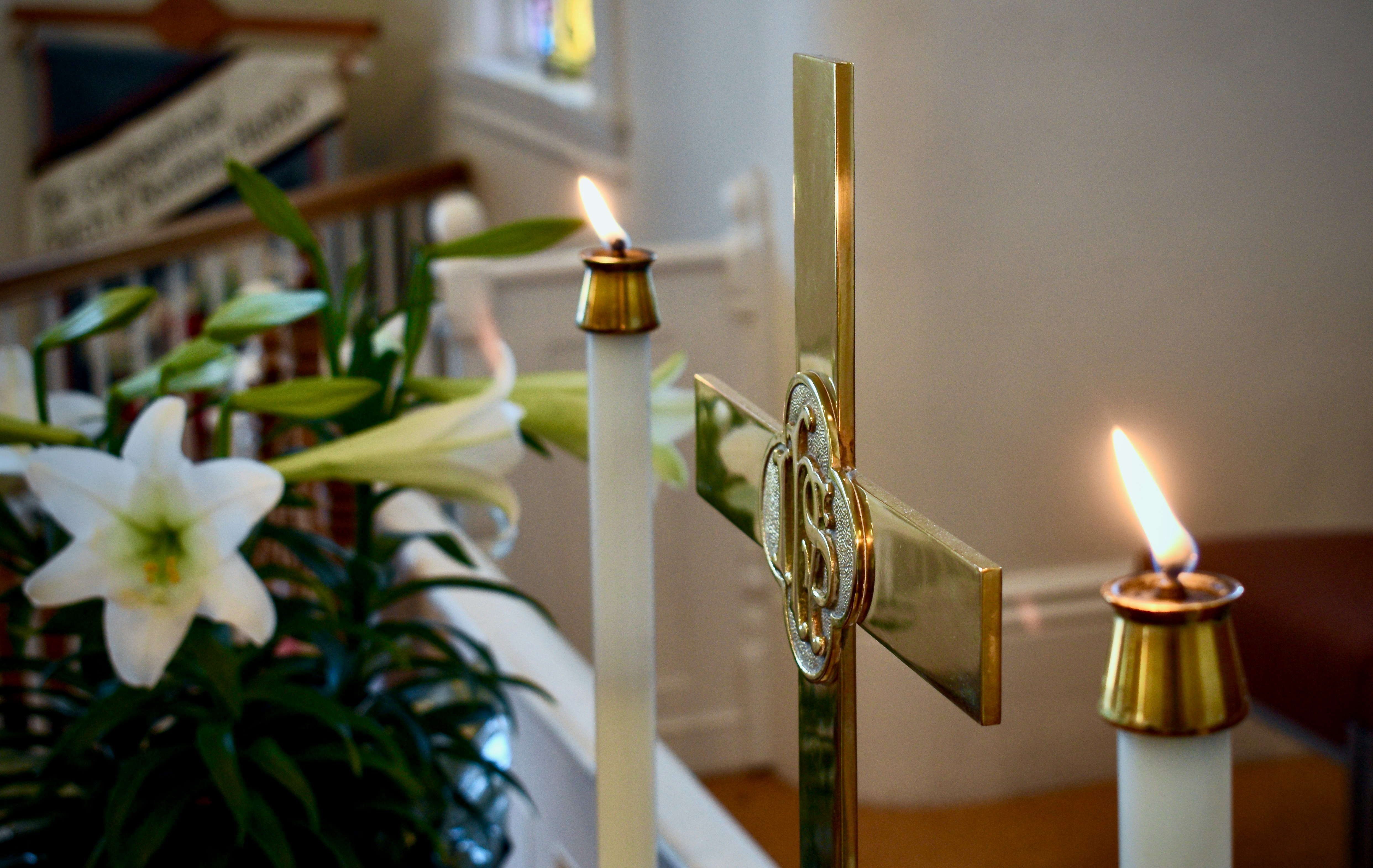 Photo by kellybrookme