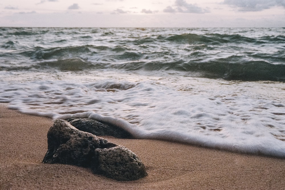 a rock laying on the beach next to the ocean