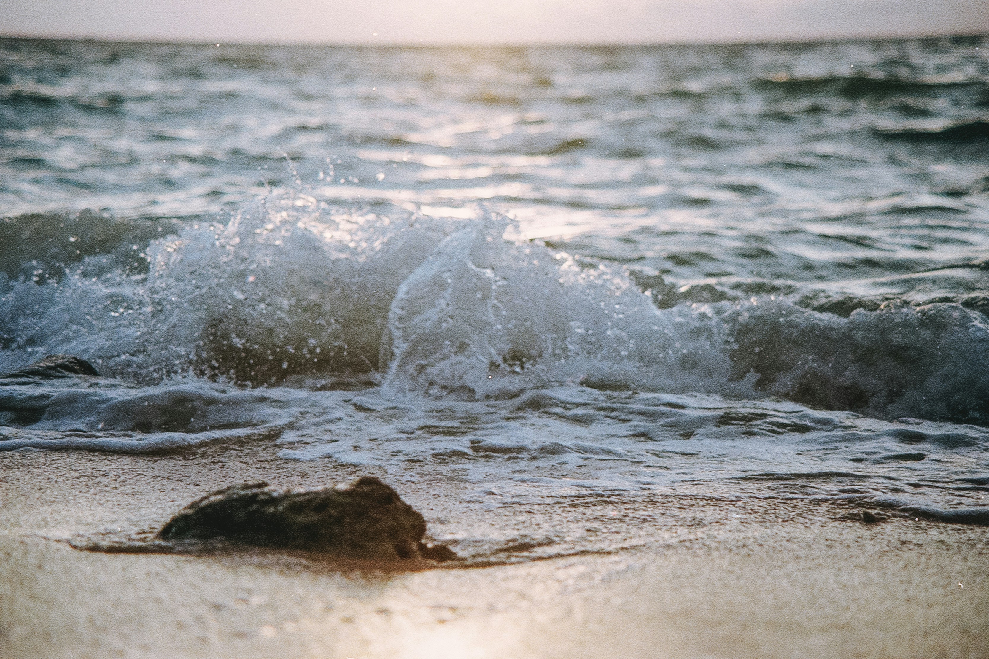 Photo by felipeprieto123