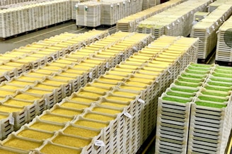 a large warehouse filled with lots of yellow and green items