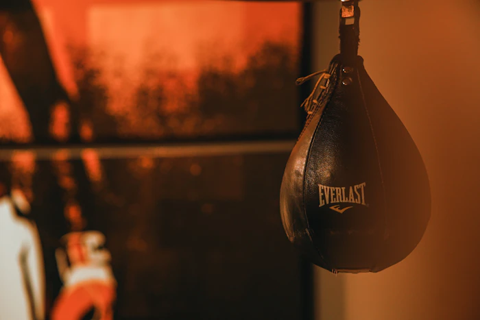 Speed bag hanging in the gym