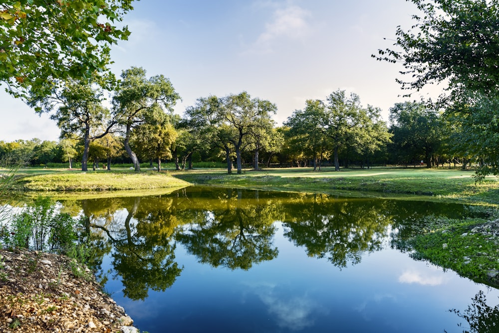 a pond surrounded by trees and grass in a park