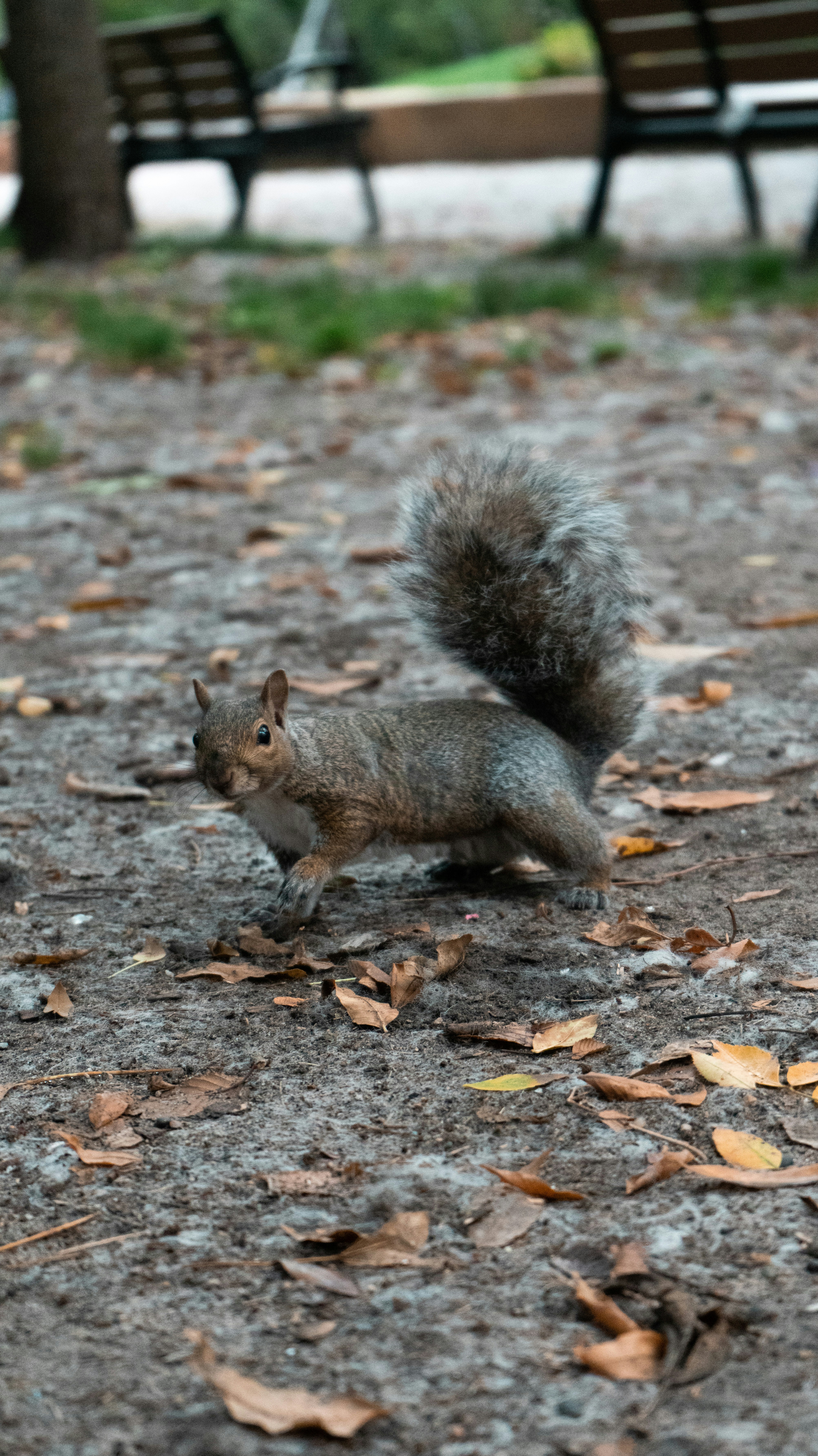 Photo by skyler_sawyer