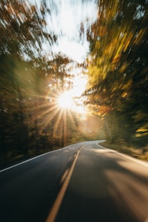 A dynamic drone shot following a winding road through a forest with red light accents in post-production.