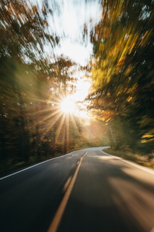 A dynamic drone shot following a winding road through a forest with red light accents in post-production.